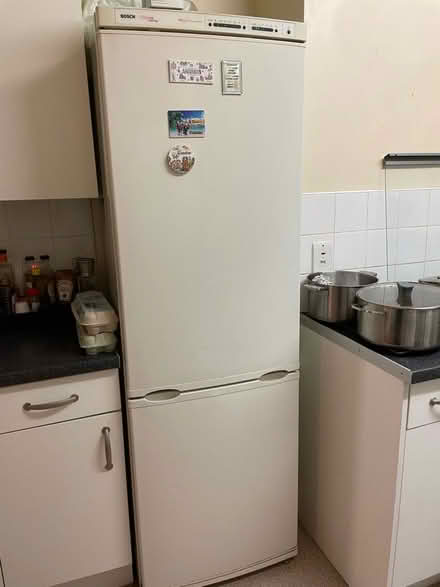 Photo of free Fridge freezer (Harringay N15) #3