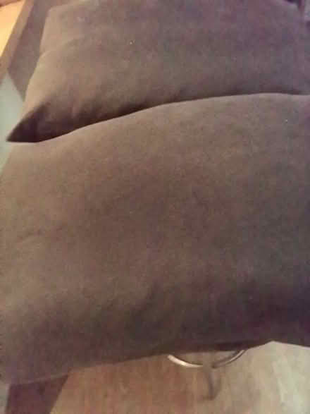 Photo of free Cushions (Upper Parkstone BH14) #1