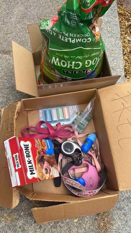 Photo of free Miscellaneous dog items (East Somerville) #1