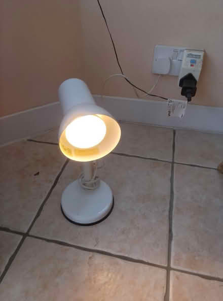 Photo of free Spotlight (waterlooville) #1