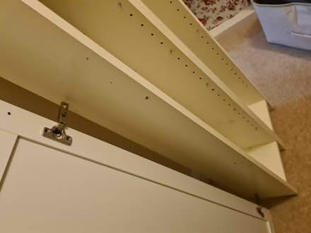 Photo of free Ikea shelving unit (SE3) #4