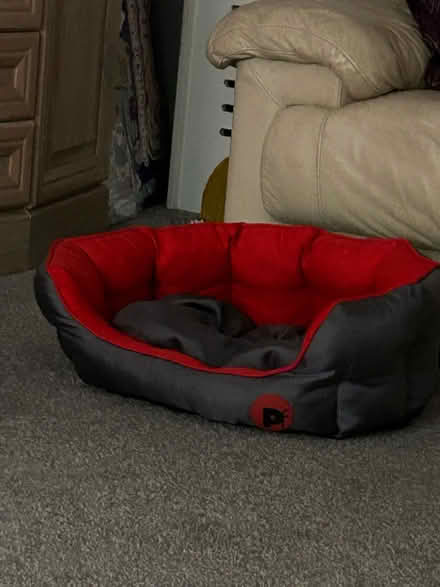 Photo of free Dog/cat bed (HP2) #1