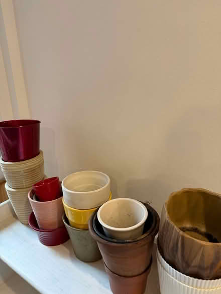Photo of free Indoor Plant Pots (Oxton, CH43) #1