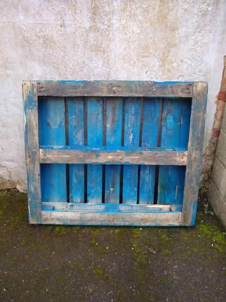 Photo of free Pallet (Hitchin SG5) #1