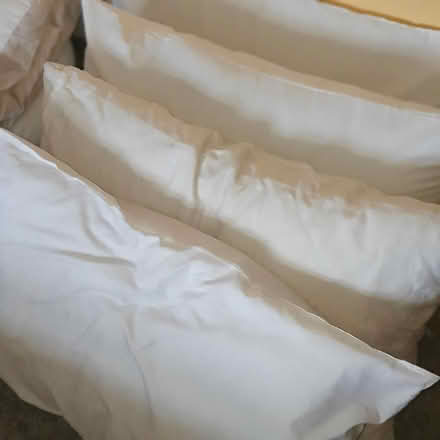 Photo of free 4 x New Pillows (mansfield, NG18) #1