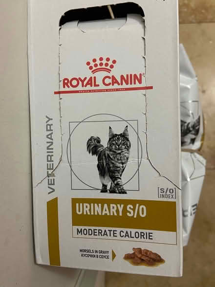 Photo of free Cat food (Wargrave RG10) #1