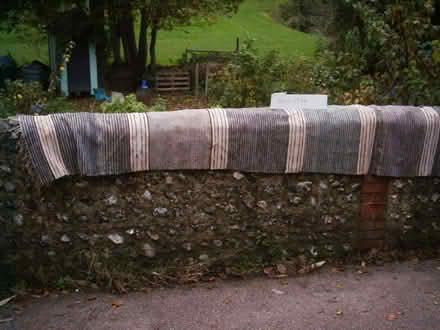 Photo of free runner type rug (Lewes BN7) #2