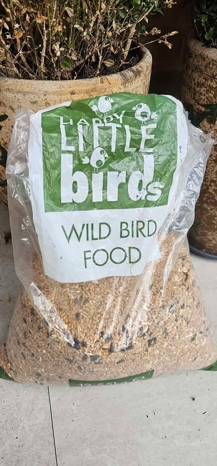 Photo of free Wild bird food (Lower Earley RG6) #1