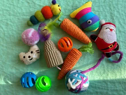 Photo of free Cat toys (Germantown 20874) #1