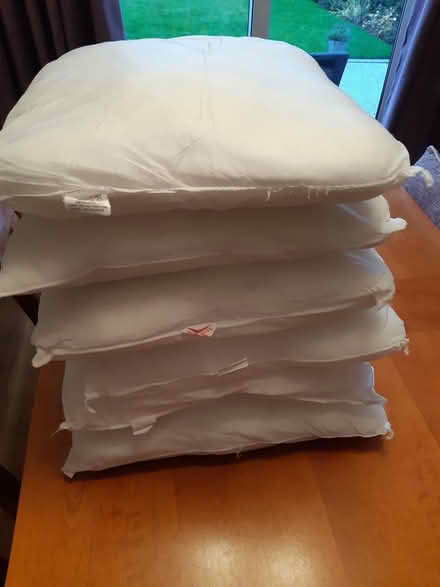 Photo of free 6 x cushions [without covers] (Bury BL8) #1