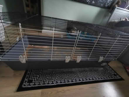 Photo of free Guinea pig cage 120cm (EN7 Goffs oak) #1