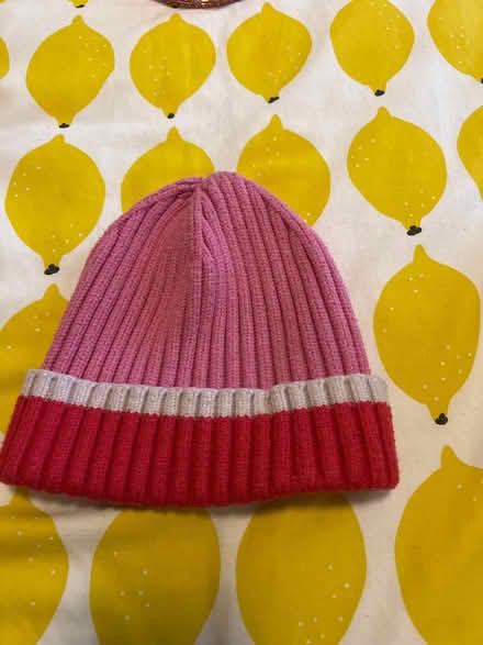 Photo of free Toddler 2-3 years beanie (Robertson Park) #1