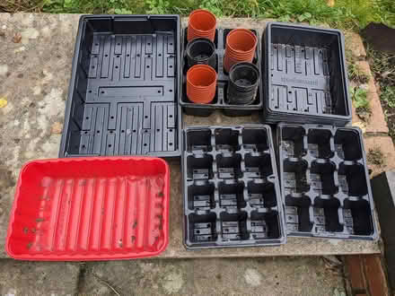 Photo of free Seed trays (Madeley CW3) #1