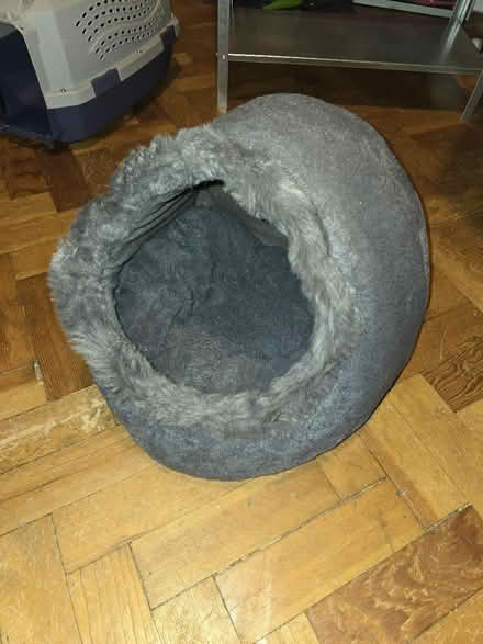 Photo of free Cat bed (Finchley Central) #2