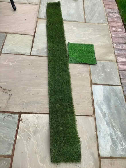 Photo of free Artificial grass offcut (Sidcup/New Eltham) #1
