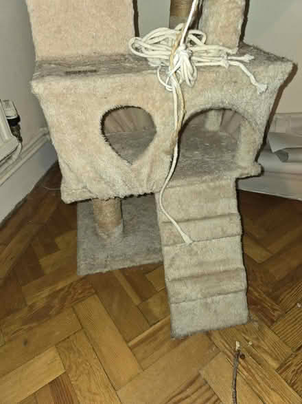 Photo of free Cat Scratch Tower (/mansion) (Finchley Central) #3