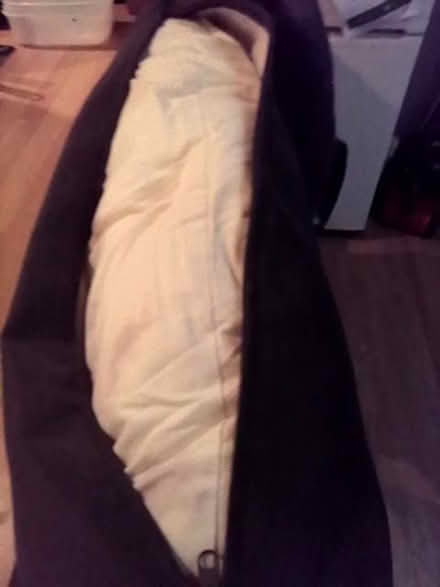 Photo of free Cushions (Upper Parkstone BH14) #3