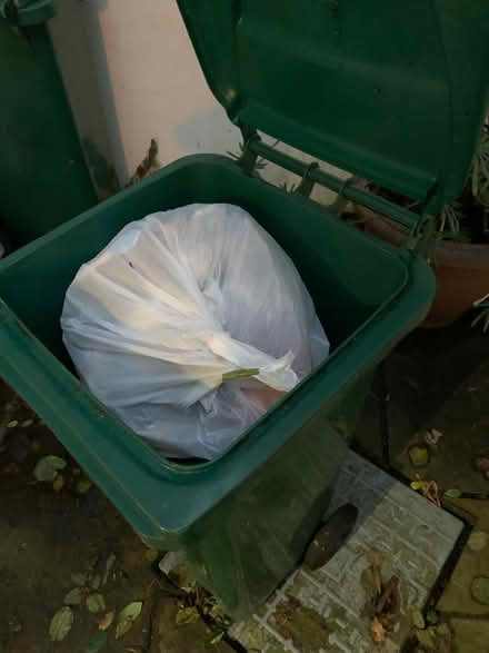 Photo of free Wheely Bin (W12) #2