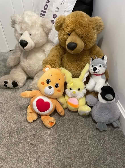 Photo of free Teddy’s (Crownhill MK8) #1