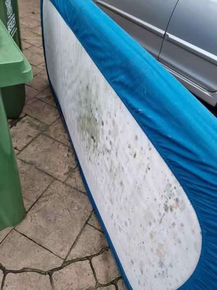 Photo of free Single mattress (DA7 4) #2