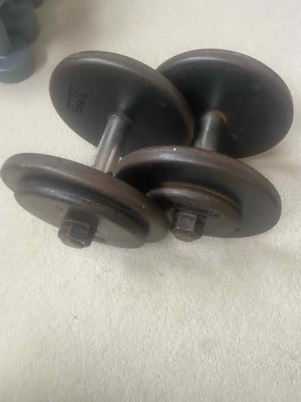 Photo of free Weights 2x15kg (G76) #1