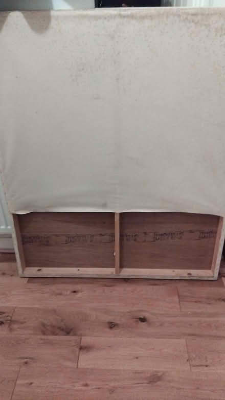 Photo of free Canvas (SE21) #4
