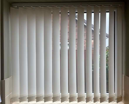 Photo of free Vertical Blinds (Walsgrave CV2) #1
