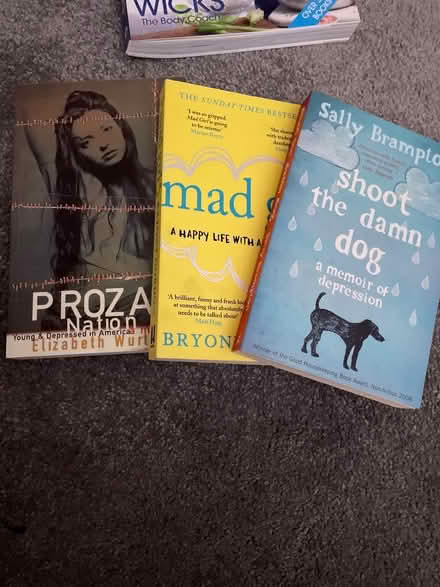 Photo of free 3 x books on depression (Birmingham Stirchley B30) #1