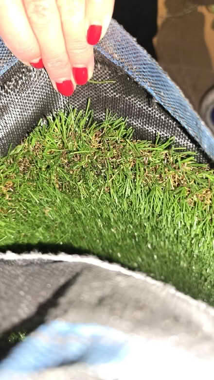Photo of free Fake grass (E15 Stratford/Plaistow) #1