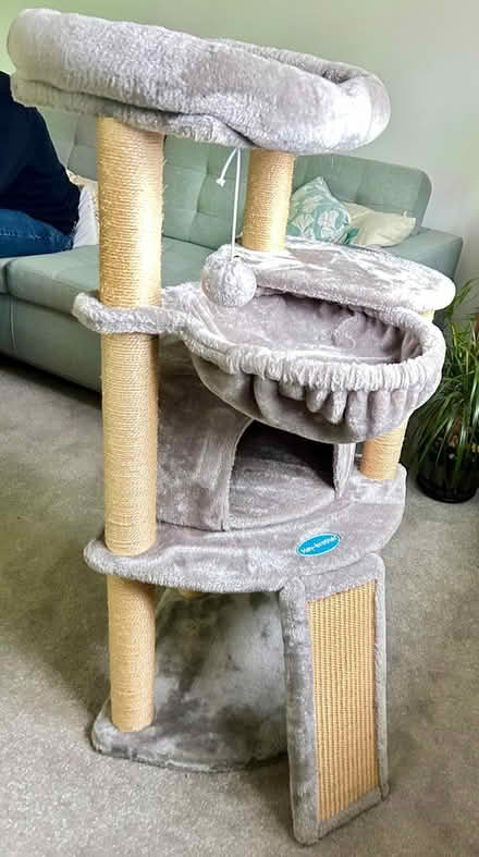 Photo of free Cat tower (Stapleford NG9) #1