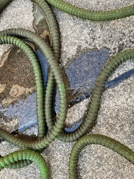 Photo of free Tuff Hose (Dalkeith EH22) #2