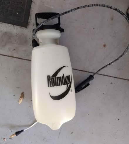 Photo of free Roundup pump sprayer (Rte 119 West of Bancroft) #1