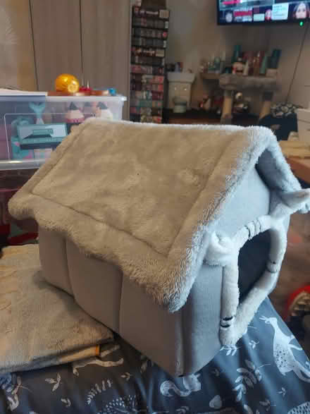 Photo of free Cat/ small dog bed (BD21 Keighley) #1