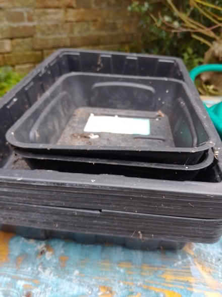 Photo of free Seed Trays, Garden Hose and Wire (Blandford Forum, DT11) #2