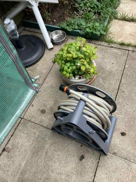Photo of free Garden hose (Seven Sisters N15) #1