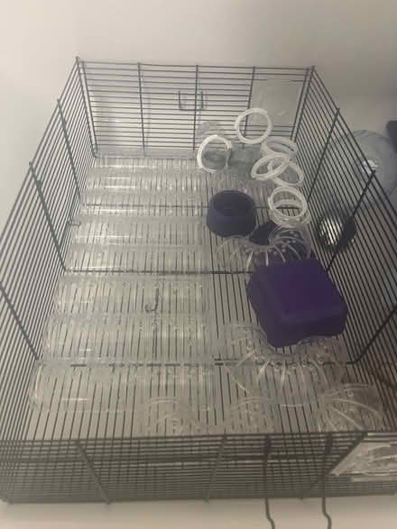 Photo of free Dwarf hamster cage and toys (North Kelvinside Glasgow G20) #4