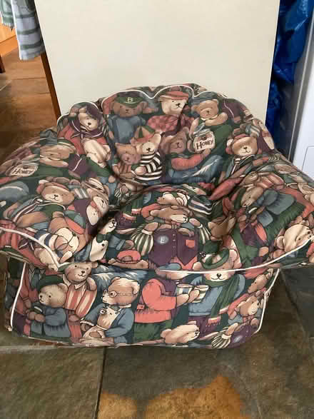 Photo of free Child’s bean bag chair (Wantage OX12) #1