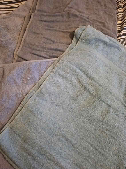 Photo of free Bath sheets (Leckhampton GL53) #3