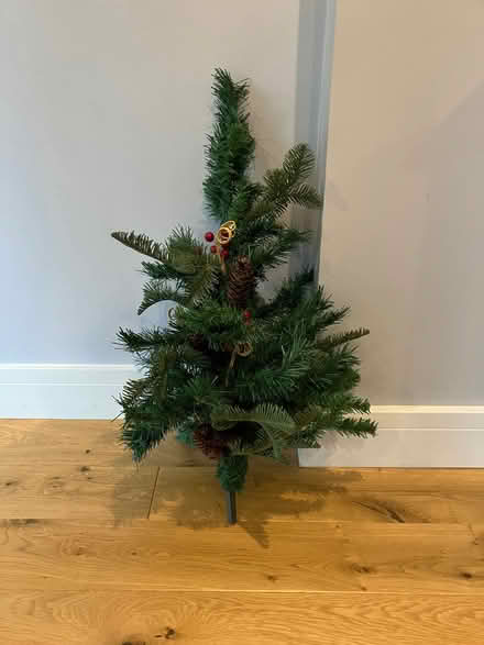 Photo of free Christmas Tree (Fairfield Park) #2