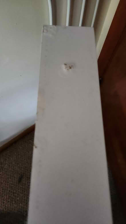 Photo of free Kitchen spice holder (Haledon, NJ) #3