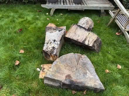 Photo of free Large logs (Caterham CR3 6) #1