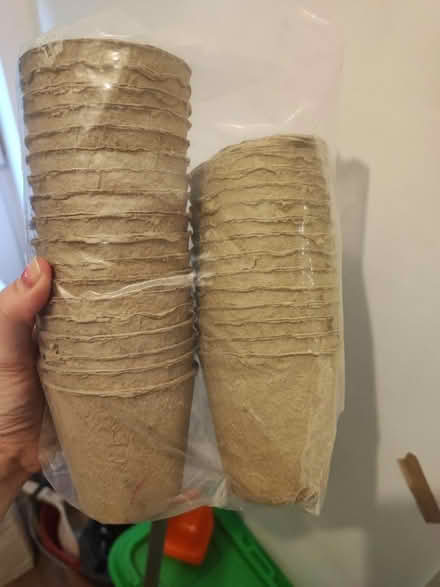 Photo of free Cardboard plant pots (Heathfield TN21) #1