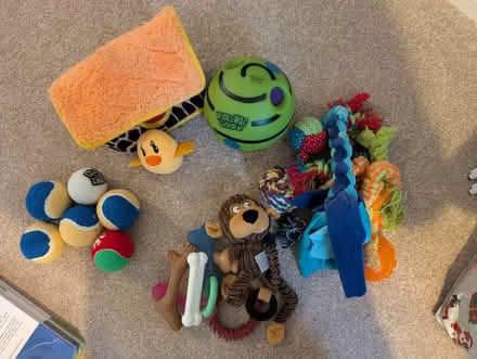 Photo of free Bunch of different dog toys (Maidstone ME15) #1