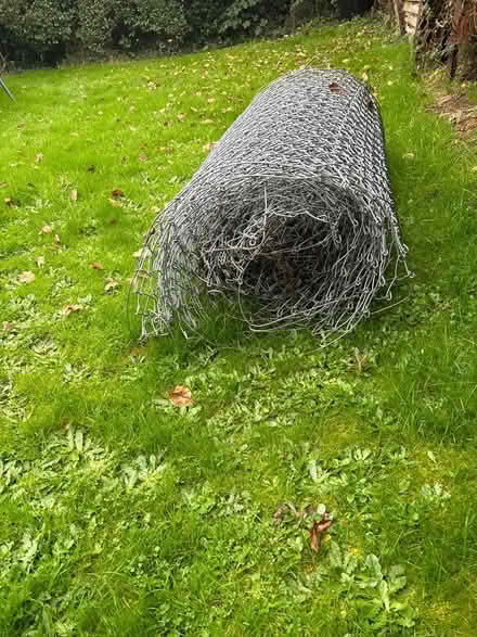 Photo of free Chain link (Horsham) #1