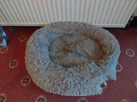 Photo of free Dog Bed (Netherfield, Kendal LA9) #1