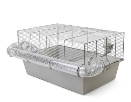 Photo of free Dwarf hamster cage and toys (North Kelvinside Glasgow G20) #1