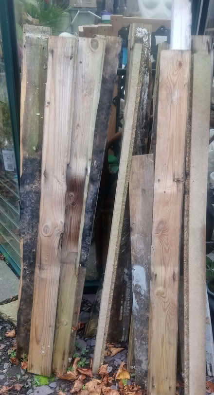 Photo of free Bonfire Night - firewood (Barrow Hill S43) #1