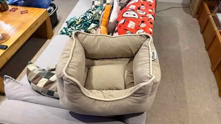 Photo of free Small pet bed (Churchill Square area BN1) #1