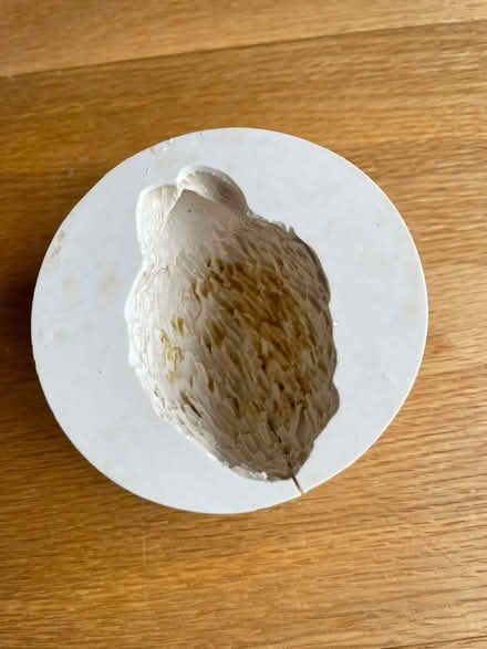 Photo of free Candle mould (Dudbridge GL5) #1