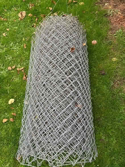 Photo of free Chain link (Horsham) #2